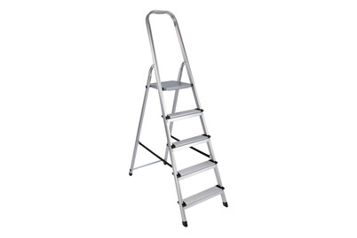 Escabeau domestique Ayce | 5 marches chez Jumbo