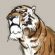 Illustration du profil de Sheerkhan
