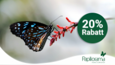 20% de réduction sur tous les prix d’entrée au Papiliorama Kerzers, le monde fascinant des animaux et des plantes! (dans la boutique en ligne).