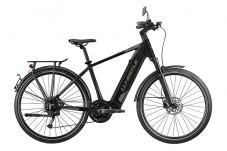 Vélo électrique WHISTLE Highspeed P500 29″, 50 cm, 45 km/h chez Jumbo