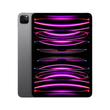 Apple iPad Pro (11″ (2022), puce Apple M2, Wi-Fi, 256 Go) chez Fnac