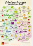 🔥 Poster A2 gratuit illustrant légumes et fruits de saison – chez pro specie rara