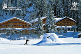 Vacances à l’hôtel 4 étoiles à Kandersteg, Waldhotel Doldenhorn / Réduction de 45 à 57% /