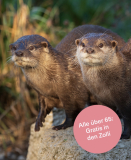 Entrée gratuite au Zoo de Bâle pour les seniors le mardi 21 avril