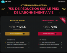 500 GO pour 122.5 €, 2TO en cloud pour 245€ à vie