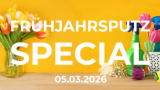 Offre spéciale nettoyage de printemps chez DayDeal