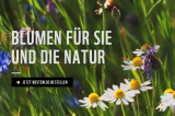 Mélange de fleurs gratuit WWF