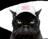 Black Week avec de nouveaux deals quotidiens chez Brack