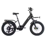 Fatbike Stilus Cruiser Gris Foncé 2026 incl. livraison