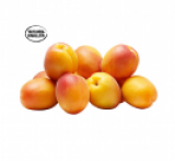 1,5 kg d’abricots suisses chez Coop