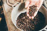 Café gratuit de la plus ancienne torréfaction de Suisse