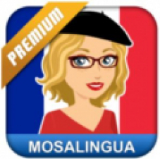 Apprenez le français gratuitement avec MosaLingua