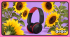 Casque audio supra-auriculaire à énergie solaire Philips série 6000