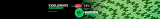 Forfait mobile intelligent de Salt