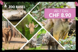 Billet d’entrée d’une journée pour adultes et enfants au Zoo de Bâle